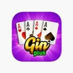 Gin Rummy Plus: Everything You Need to Know to Play and Win