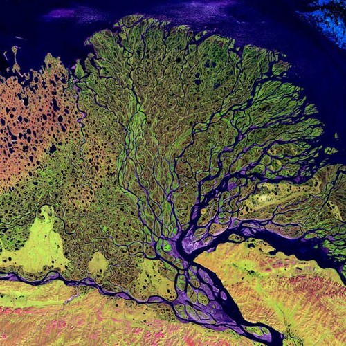 7II - Can Live W/O 01010101 But It Ain't Fun