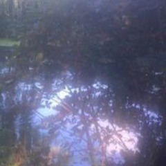 A quoi ils pensent ? (prod. @picsus4)