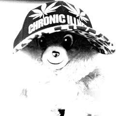 winter freestyle (NovaChance x Tuti)