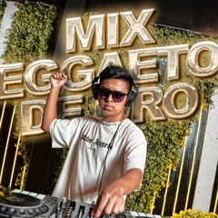 MIX REGGAETON DE ORO 🔥(Borro Cassette, La Pregunta, Junto al amanecer, Me niegas y más) DJ Flex