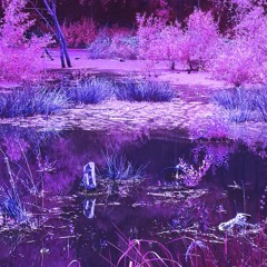 ⦁︎.⬤.⦁︎◖︎spirit(8.7)◗︎⦁︎.⬤⦁︎ ֯●︎