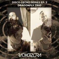 DRAGONFLY TRIO | Disco Gecko Recordings series Ep. 3 | 04/04/2021