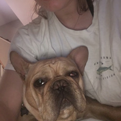 White Lies- Max Frost