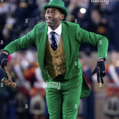 Projekt Booda - Notre Dame