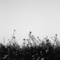 Bring Me Back to Life