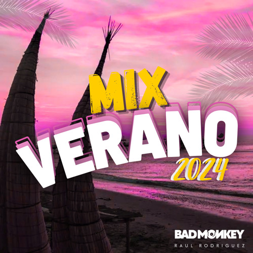 DJ Bad Monkey - Mix Verano 2024 Audio