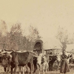 Thieves Newly Loosed Instrumental Demo