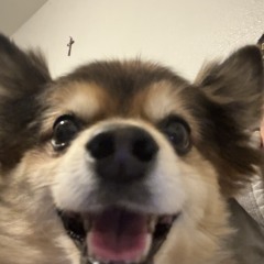 Ya