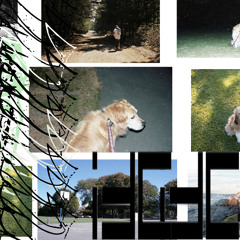 Title Fight x Chief Keef (John Madden Flip)