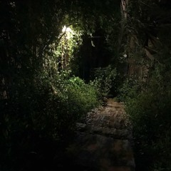 dream world