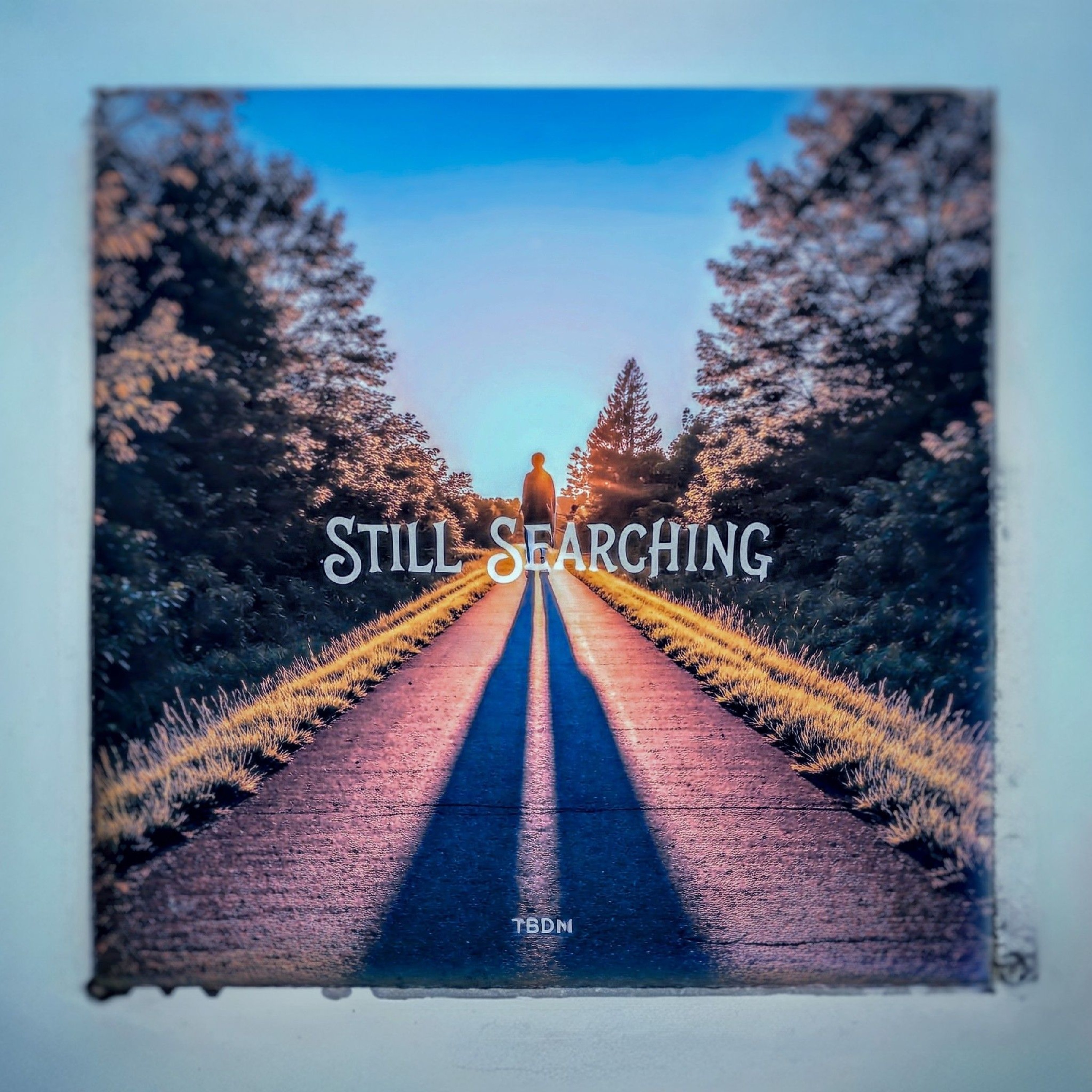 Still Searching
