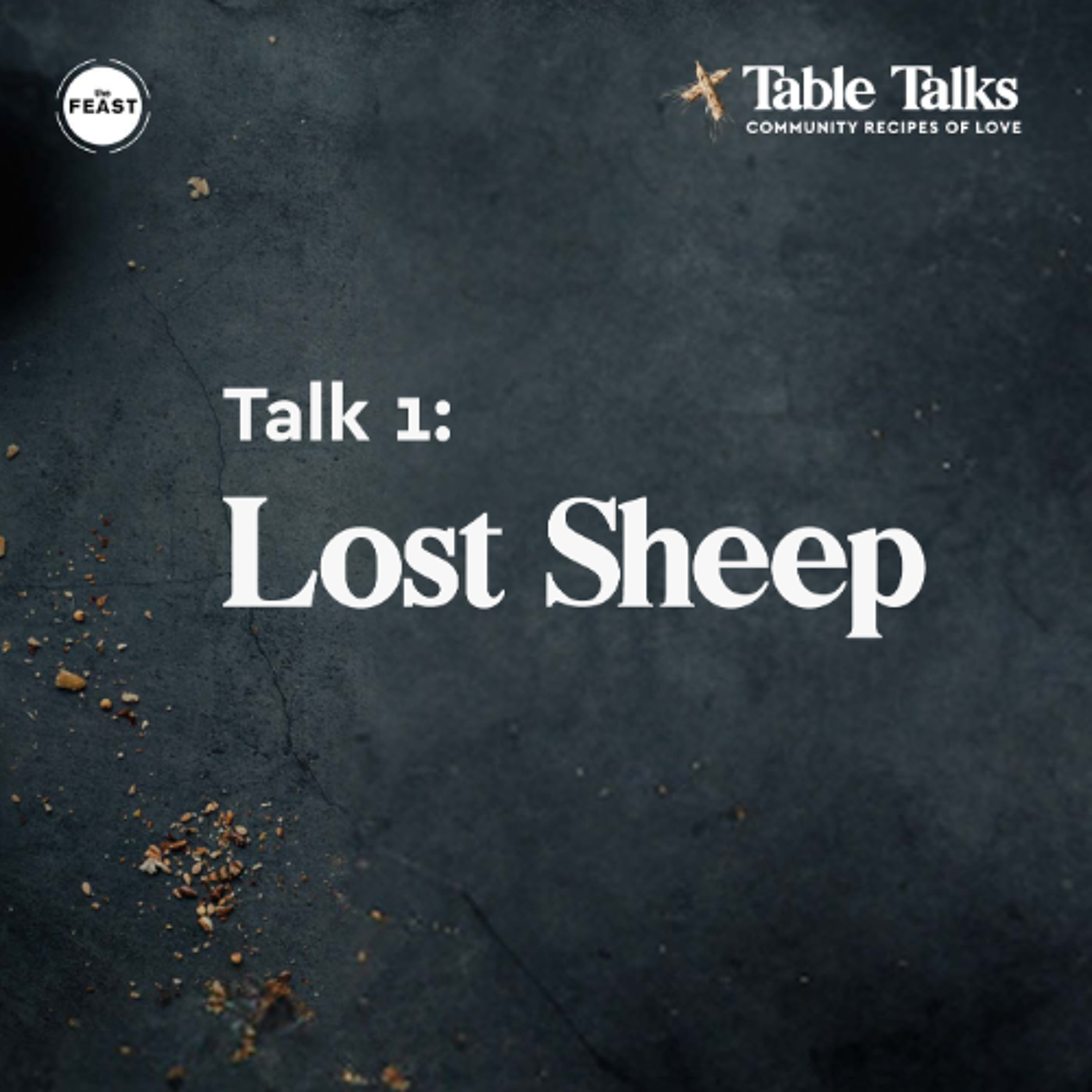 Feast Series: Table Talks | Talk 1: Lost Sheep