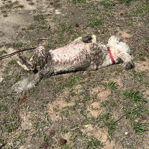 4 WHEN ROLLIN IN THE MUD FEELS GOOD