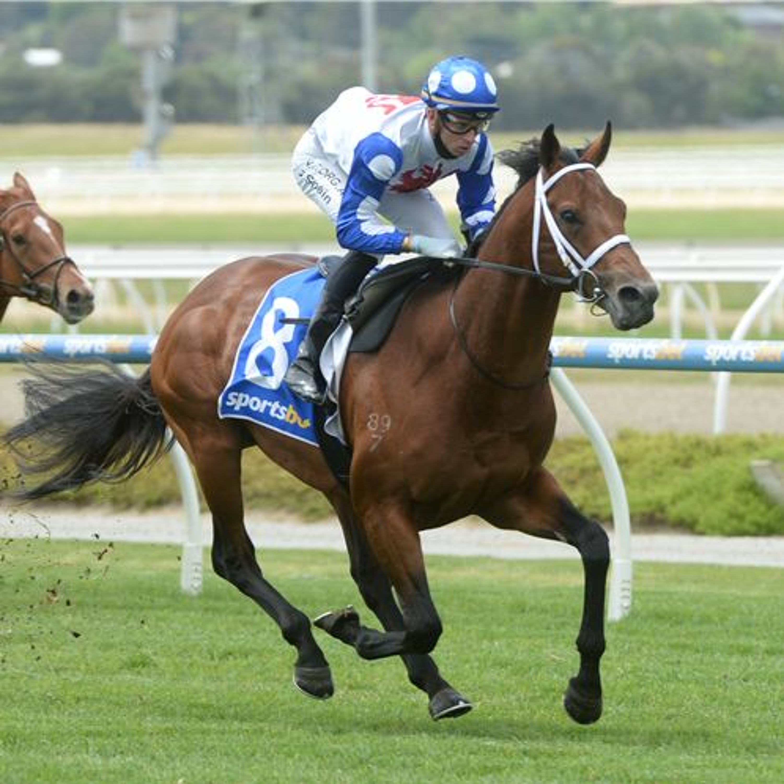 Sandown Hillside 3rd Of February Midweek Punting Preview