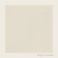 night orchids | NaviarHaiku597