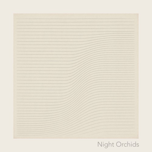 night orchids | NaviarHaiku597
