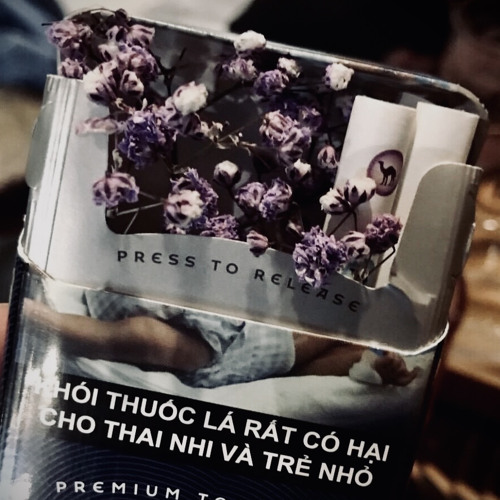 Đã Lỡ Chơi Quá Liều - Harry Pod Chill ( ft. Johnny Trí Nghieesn * Minh Hộp )