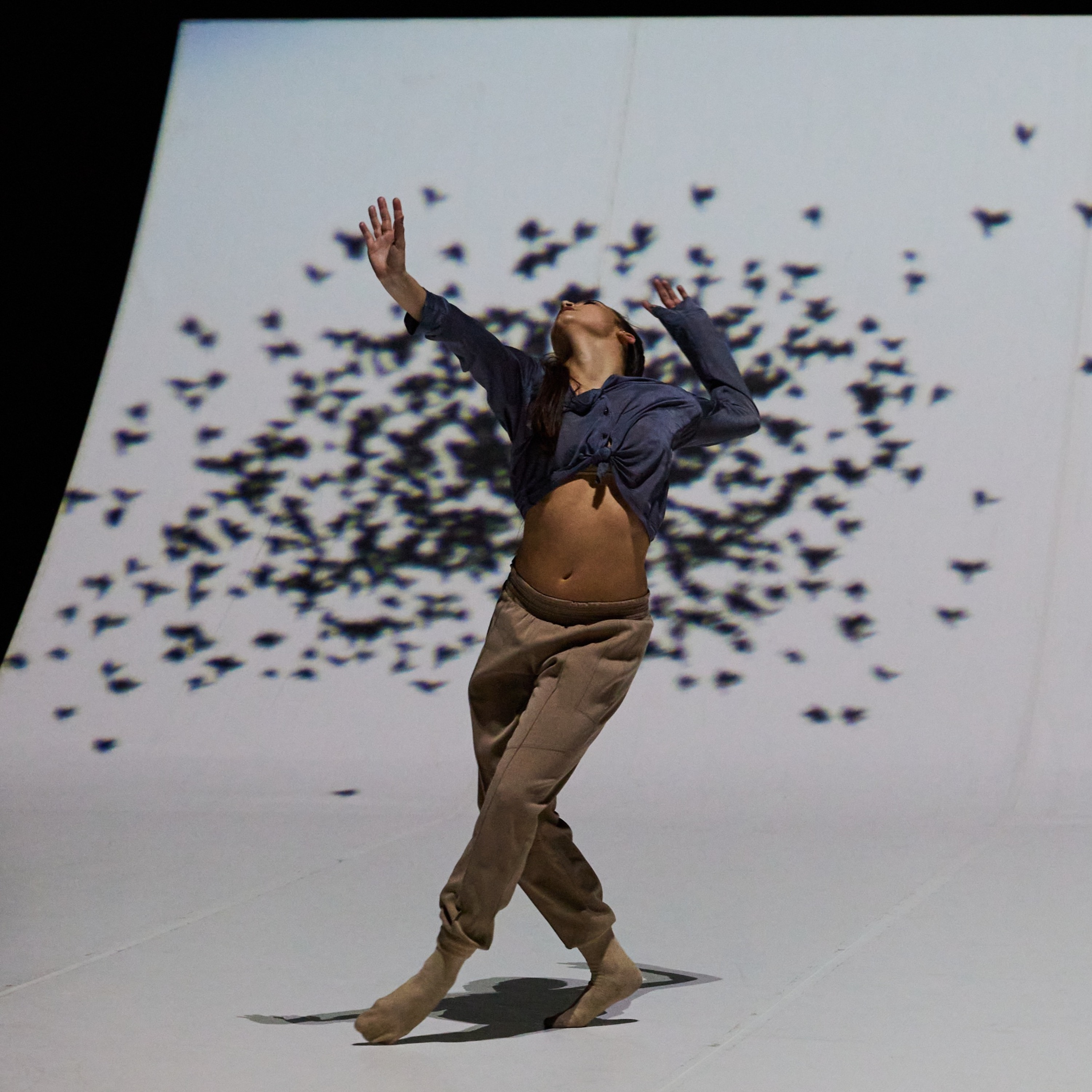Dresden Frankfurt Dance Company