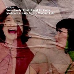 Free DL: Gotye - Somebody That I Used To Know (Radical Fantasy & Guy Maayan Edit)