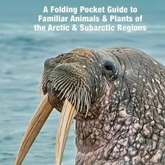 PDF/READ Arctic Wildlife: A Folding Pocket Guide to Familiar Animals & Plants of