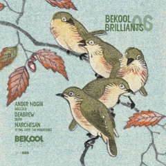 Marchesan - Flying Over The Mountains (Original Mix)