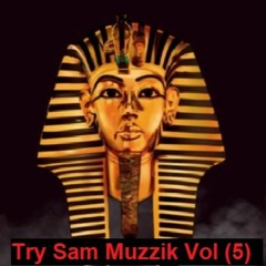 Pharaohs Techno 2023 ( Try.Sam.Muzzik Vol 5 )