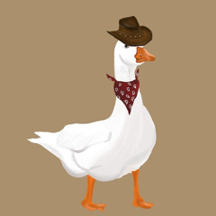 Wild Goose Chase