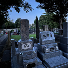 Les grillons du cimetière Yanaka