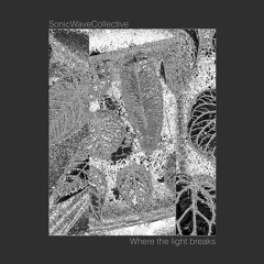Premiere: Sonic Wave Collective - Arise (Forest On Stasys Tribal Mix) [Arketip Discs]