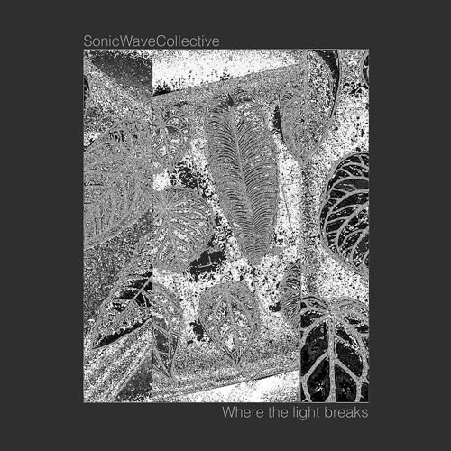 Premiere: Sonic Wave Collective - Arise (Forest On Stasys Tribal Mix) [Arketip Discs]