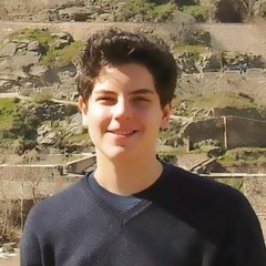 Beato Carlo Acutis (2020)