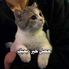 ايظن كاملة مى عز الدين و عماد بعرور(M4A_128K).m4a