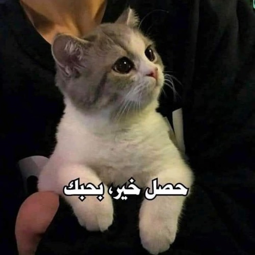 ايظن كاملة مى عز الدين و عماد بعرور(M4A_128K).m4a