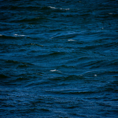 PADO (Prod. JUNGGWAN)