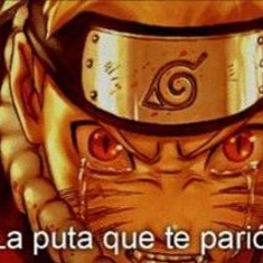 MUSICA VARIA HERMOSA