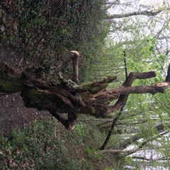 Mpc315 Dis Pas Que Je T'ai Pas Prévenu (mix4) 136bpm