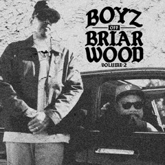 Boyz Off Briarwood Vol.2