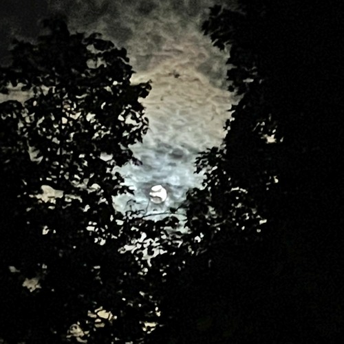 luna [tape]