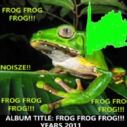 frogi27