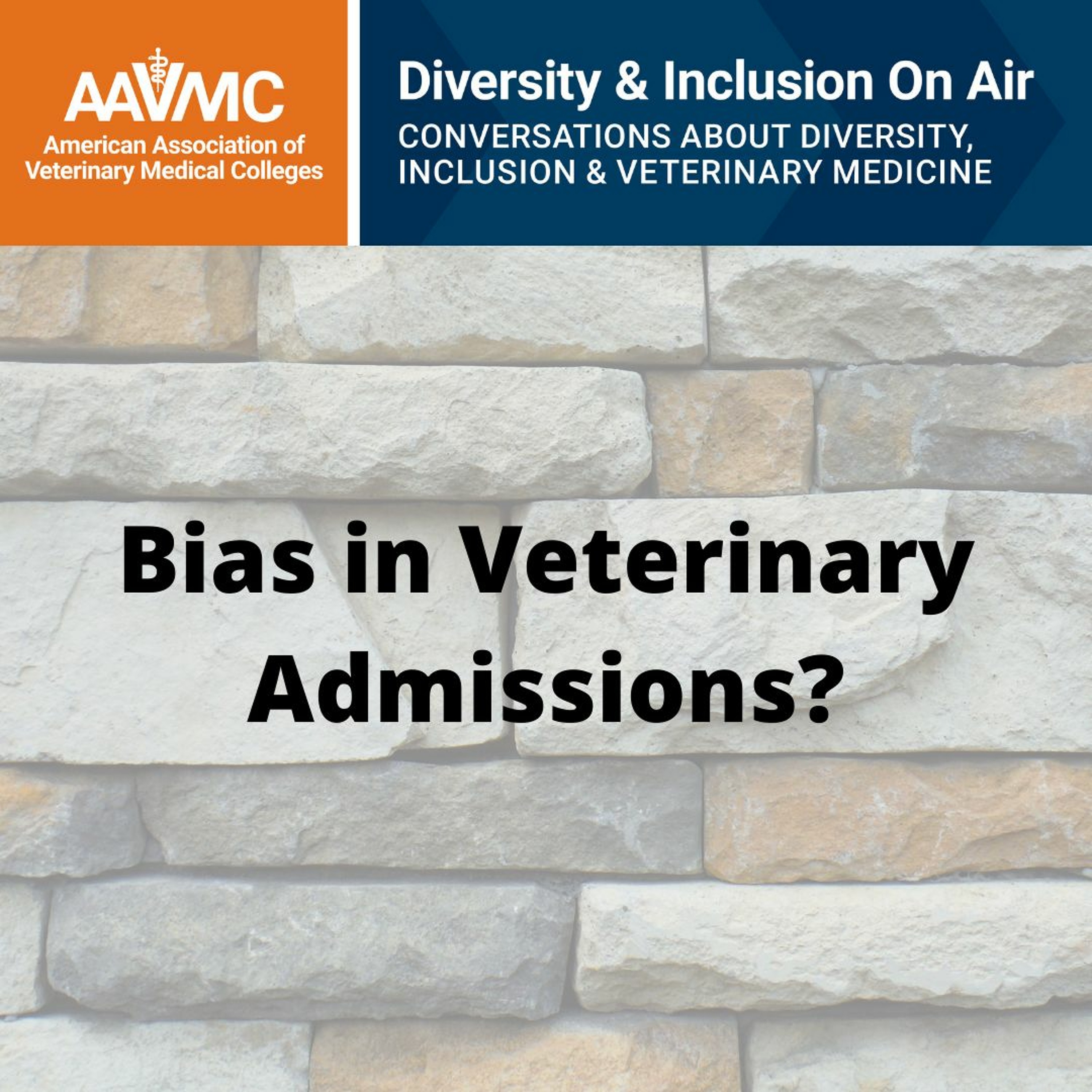 AAVMC\'s On Air: Conversations about Issues in Veterinary Medicine