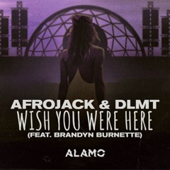 Afrojack & DLMT – Wish You Were Here (feat. Brandyn Burnette) [ALAMO Private Remix]