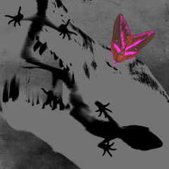 PREMIERE: STARTAH – Interplanitary Signal