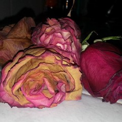 if the world was ending (cover)