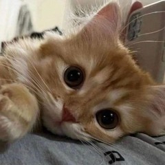 кью ☺️💋