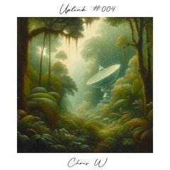 Uplink 004