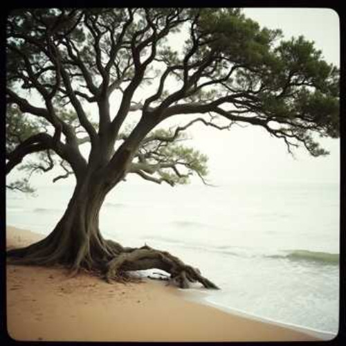 “How Great You Are” - Country