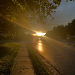 wonderwhatgoeson (p. melik)