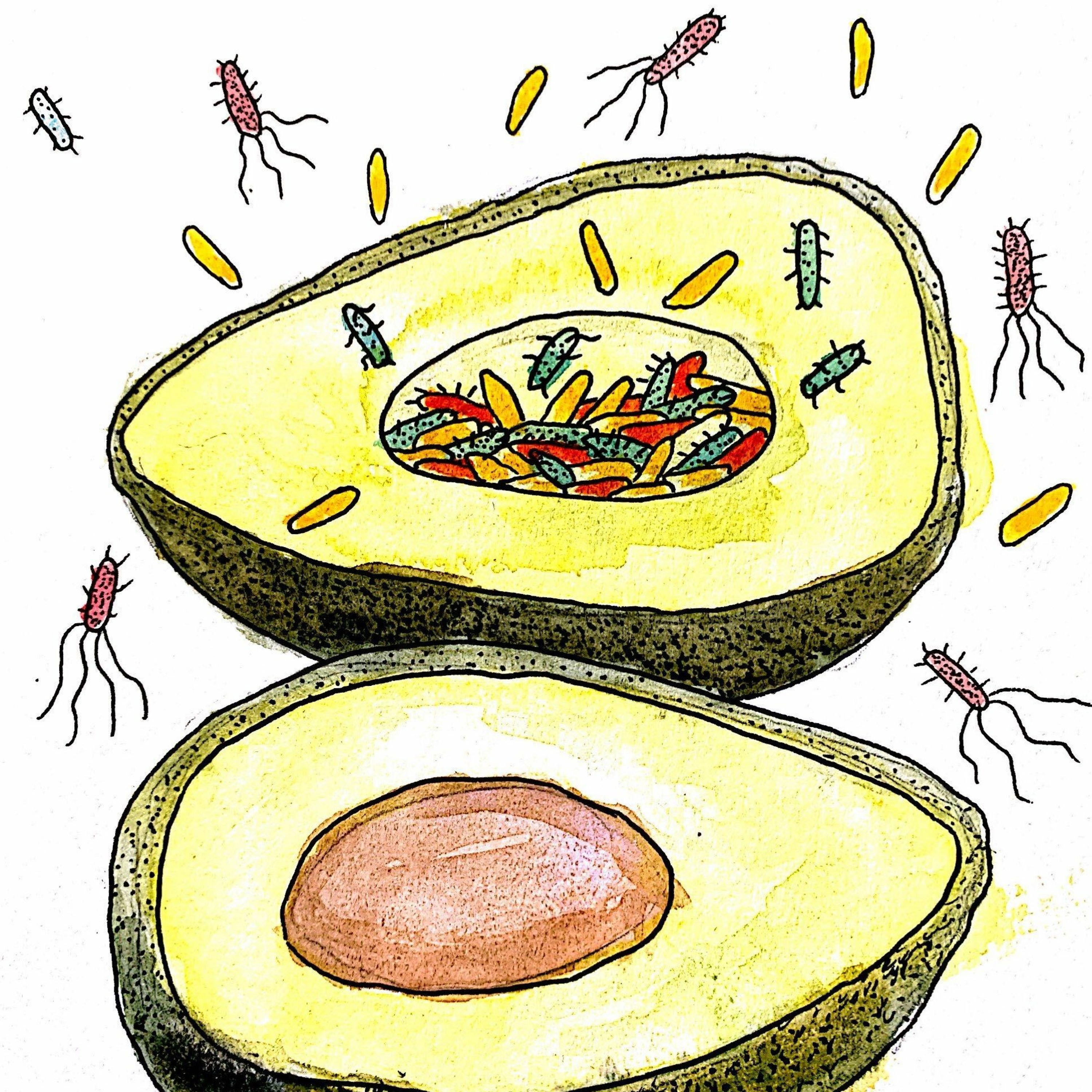 RadioBio