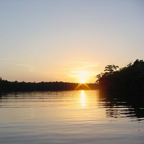 Tickfaw River Reckoning - Rick Watson